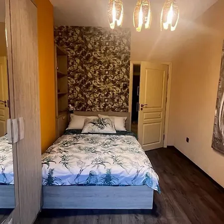 Apartment Cozy 2br Oasis In *